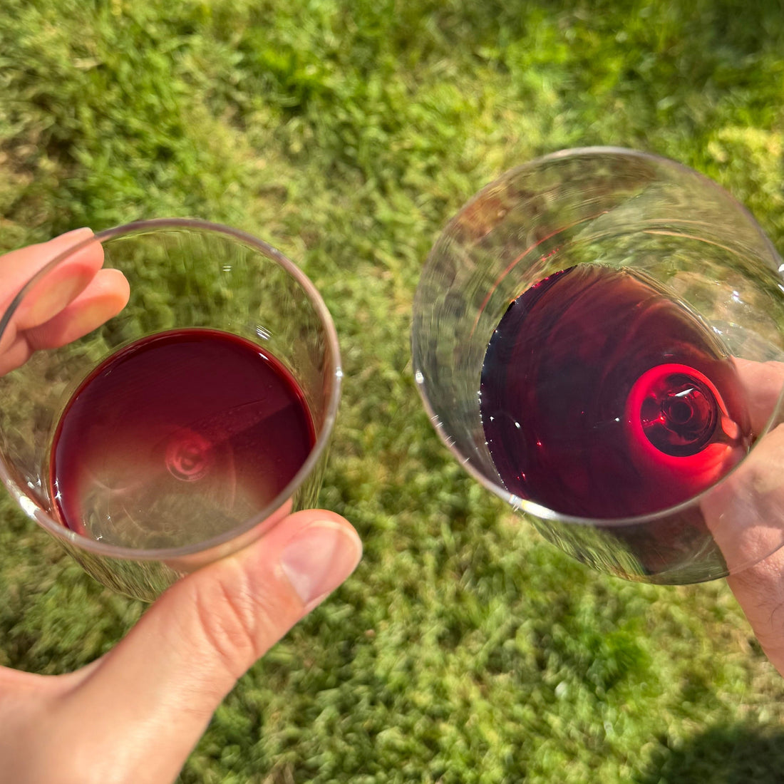 Two glasses of red wine compared side by side, one clear and one cloudy with sediment.